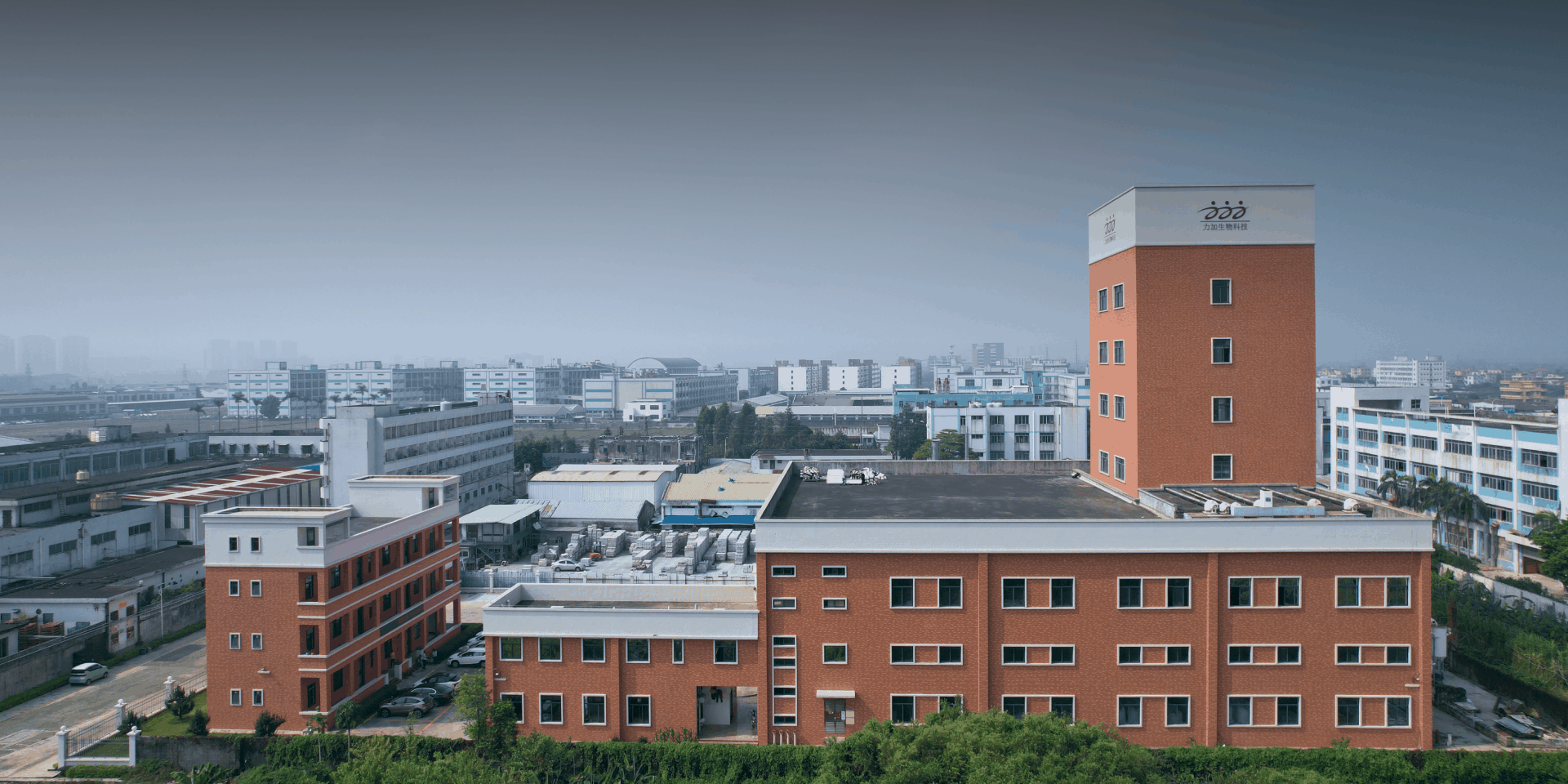 饲料预混料 专业出产厂家