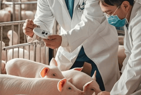 DDPAY钱包官方网站