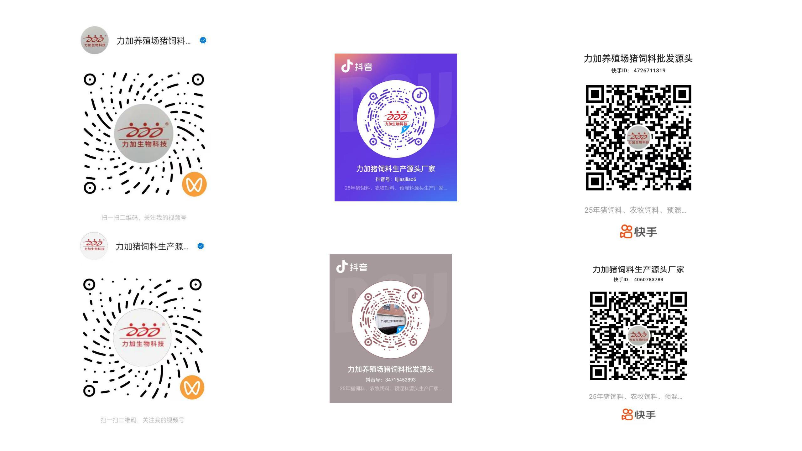 DDPAY钱包官方网站网销平台正式上线